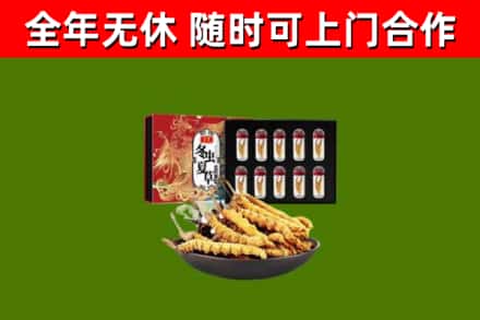 应城市烟酒回收冬虫夏草礼盒.jpg