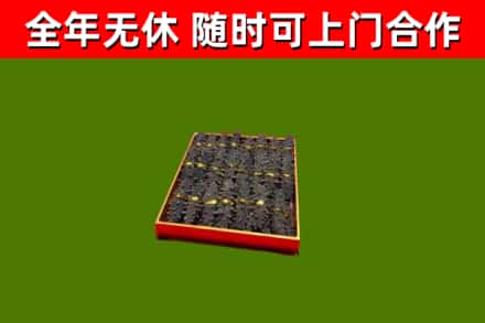 应城市回收海参